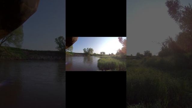 Голавль на ЖУКА. Классическая поклевка голавля - "отдай спиннинг"! смотреть онлайн