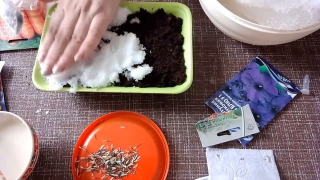 ЛАЙФХАК, как посадить петунью, бархатцы.Готовлю семена моркови 2 способа