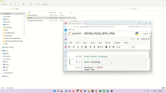 Convert DICOM Image Folder to PNG Within 2 Minutes смотреть онлайн