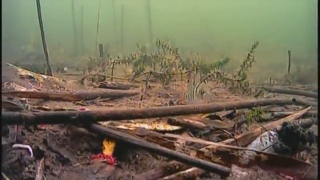 подводная камера  (ahd-238+2431)