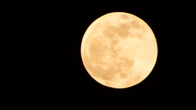 Full Moon Rising!! смотреть онлайн