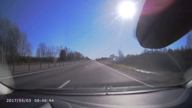 Маленький олененок пытается перебежать трассу М1 смотреть онлайн