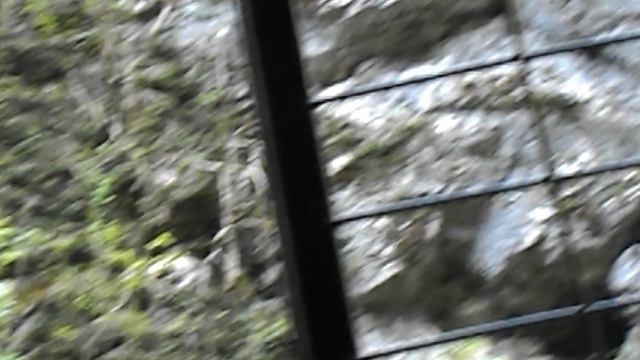 DSCN7847 Гуамское ущелье сентябрь 2024