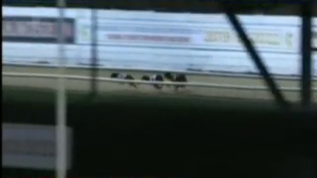 IGB - The Slan Abhaile 14/02/2020 Race 12 - Curraheen Park смотреть онлайн