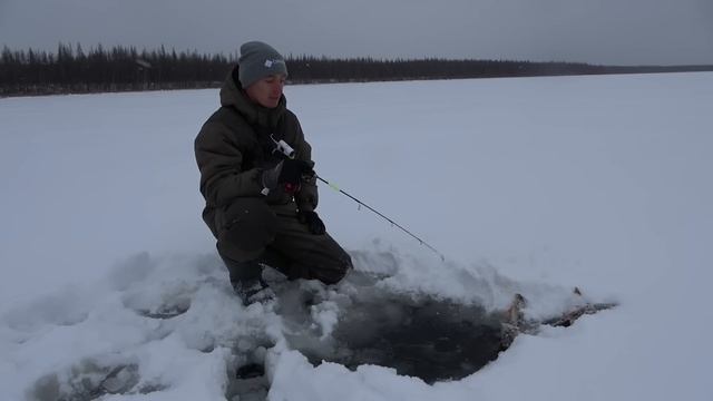 Первый лёд 2023-2024. смотреть онлайн