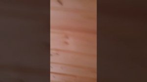 Каркасная баня 3Х3.Проект готовой каркасной бани 3Х3.