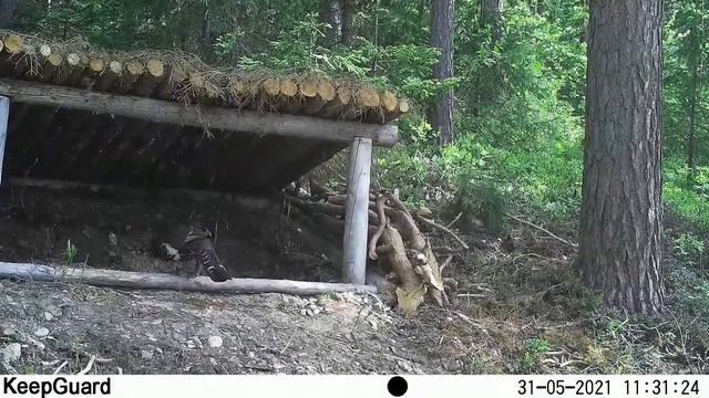 Заповедник 