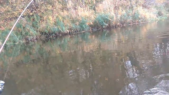 Ловля трофейной щуки смотреть онлайн