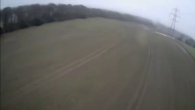 Сокол с камерой на голове))))) смотреть онлайн