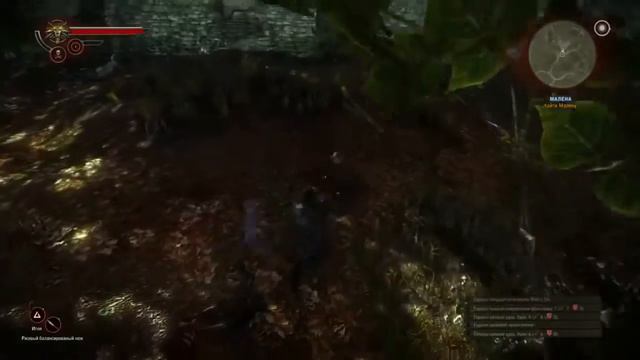 The Witcher 2 Где найти Малену смотреть онлайн