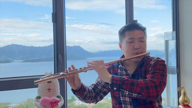 A Tune A Day For Flute Book One Lesson 23 P.35, 80 with Metronome by So Ka Hing Mario 蘇家慶 смотреть онлайн