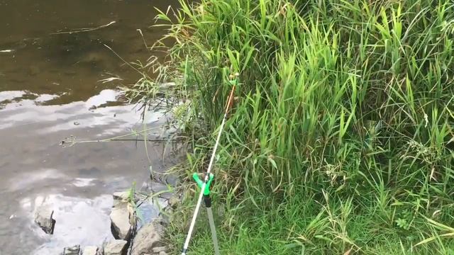 Рыбалка на Нейве смотреть онлайн