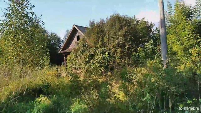 Деревня Мысы в Кировской области смотреть онлайн