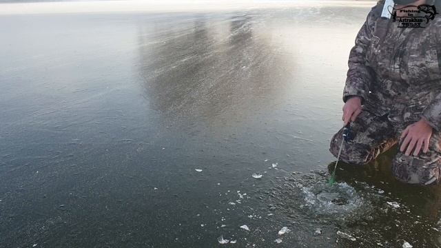 Астраханский лёд держит, окунь клюёт. Первая рыбалка в новом году. смотреть онлайн