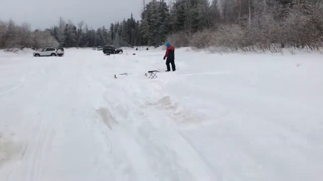 Отличный улов северного ЯЗЯ и Сороги, река Еты Пур Ноябрьск
