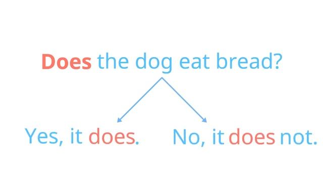 Учимся составлять вопросы в настоящем простом времени и кратко отвечать на них смотреть онлайн