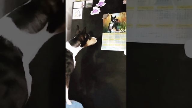 Это любовь, с первого взгляда 🥰 смотреть онлайн