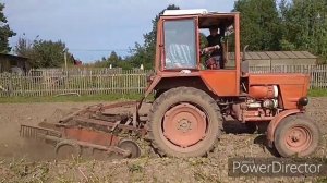 Двухрядная картофелекопалка на Т-25. Копаем картошку.....