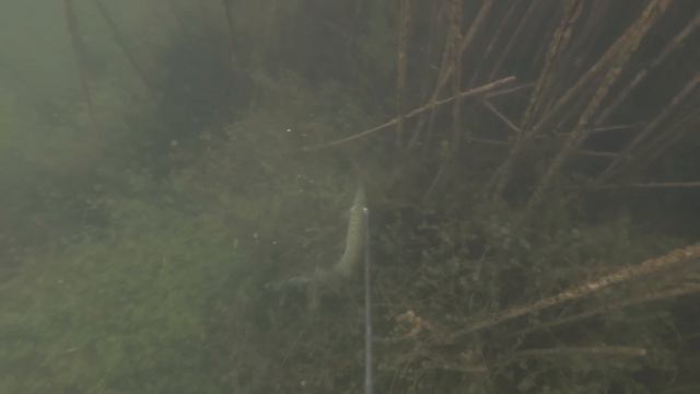 Лучший улов в моей жизни Подводная охота