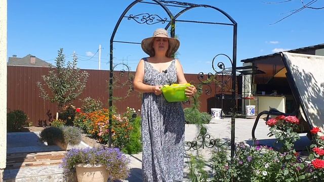 Одним махом избавилась от вершинной гнили смотреть онлайн