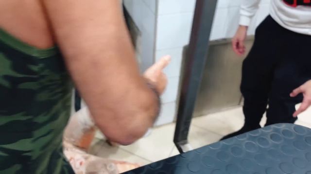 SONO STATA MORSA DA UN SERPENTE VELENOSO...SONO IN OSPEDALE !!! - by Charlotte M. смотреть онлайн