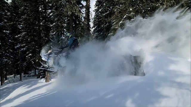 Пухляк. SkidooKing Sheregesh. смотреть онлайн