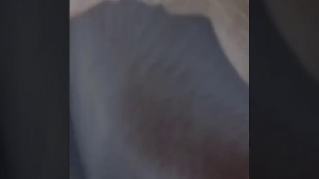 Прятки_12.mp4 смотреть онлайн