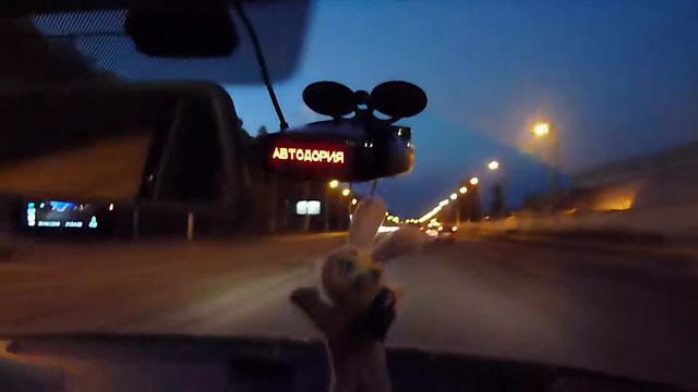 AvtoGSM.ru Радар-детектор Street Storm STR-6030GPS смотреть онлайн