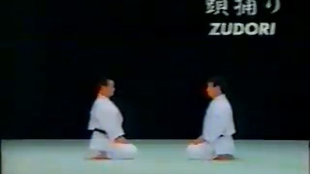 Wado Kai Tedori 1 смотреть онлайн