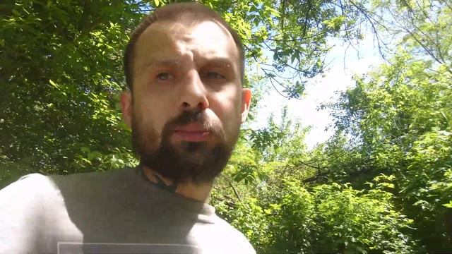 Победитель есть да и есть мой ошибки Labrador Manik смотреть онлайн