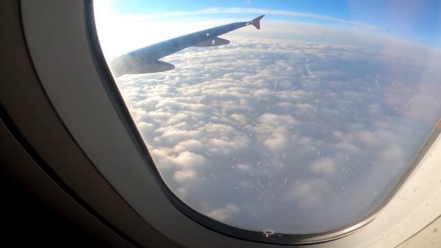 Перелёт в Калининград из Санкт-Петербурга. Октябрь 2020 смотреть онлайн