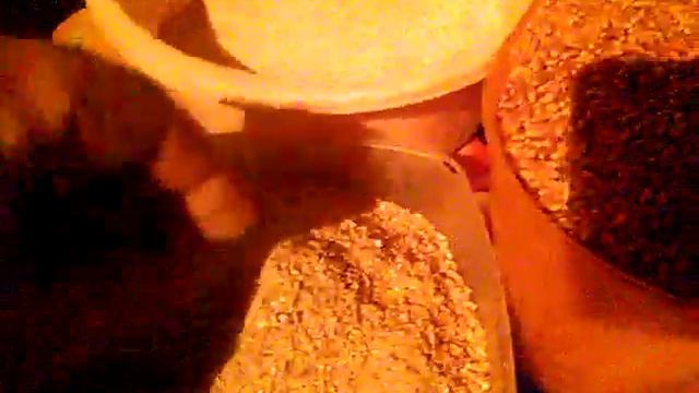 Чем я кормлю кур /////// как варю курам . смотреть онлайн