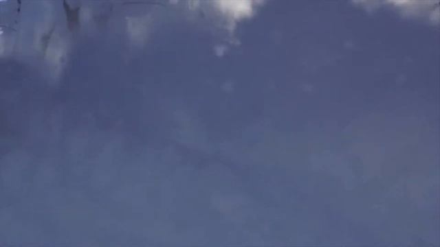 Горнолыжный магазин "Горные вершины" смотреть онлайн