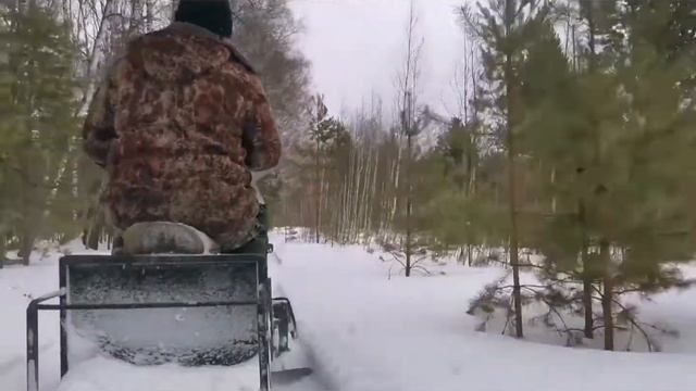 Отдых в лесу.Снегоход и мотособака. смотреть онлайн