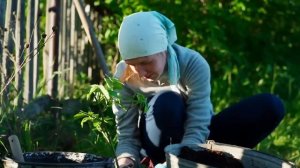 СЧАСТЛИВАЯ ЖИЗНЬ В ДЕРЕВНЕ _ ДОМАШНИЙ КВАС НА ДОМАШНЕМ ХЛЕБЕ _ РАБОТА В САДУ