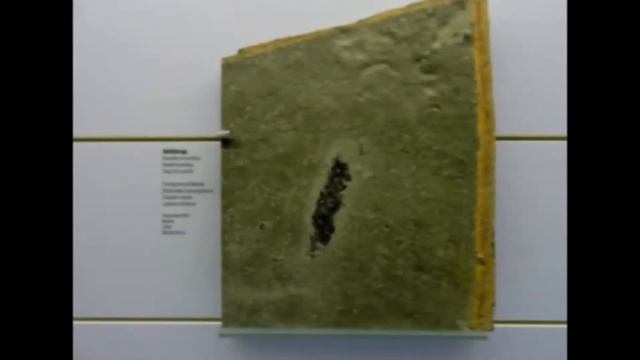 ***** (UNESCO) Meride Mendrisio (CH) MUSEO DEI FOSSILI DI MONTE SAN GIORGIO смотреть онлайн