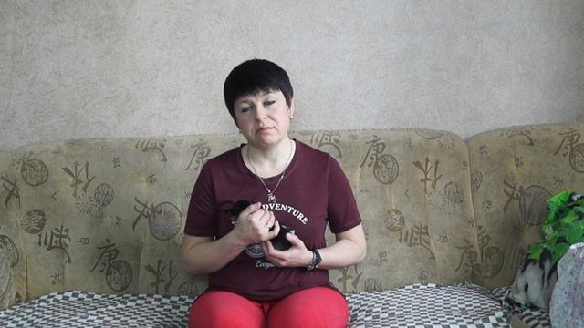 ИСКУССТВЕННОЕ ВСКАРМЛИВАНИЕ ЩЕНКОВ//ЩЕНКИ ТАКСЫ смотреть онлайн