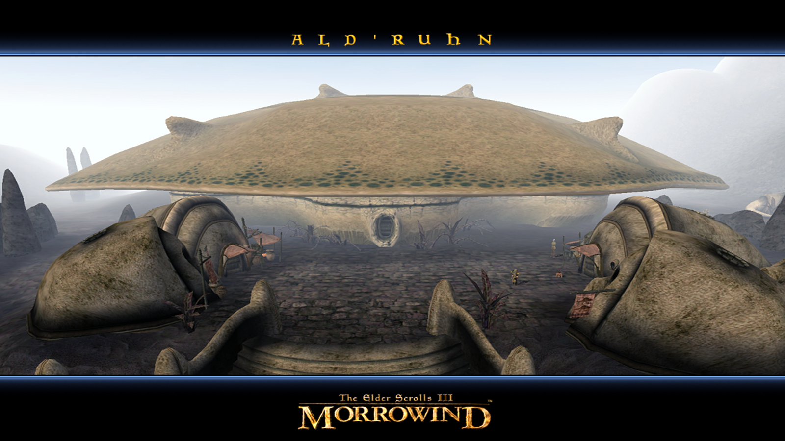 The Elder Scrolls III : Morrowind #2