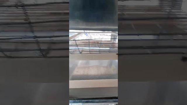 Клетка для кур несушек | Своими руками смотреть онлайн