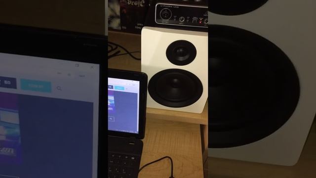 (Best low budget monitors) Rockville 5.25 Studio Monitors Review (great sound) смотреть онлайн