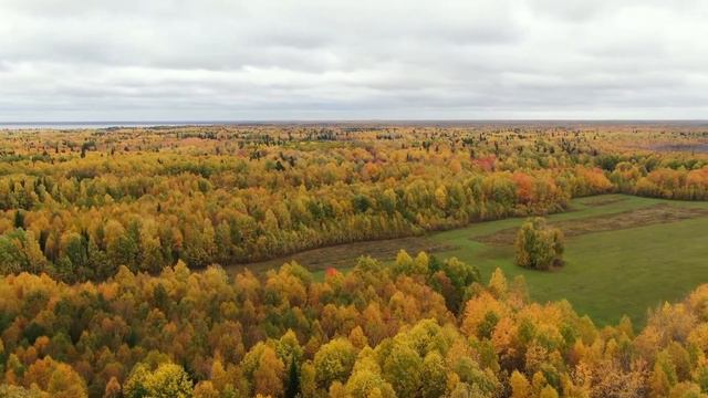 Золотая осень (Полет Кондора) смотреть онлайн