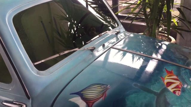 Машина Аквариум в Отеле Yalta Intourist смотреть онлайн