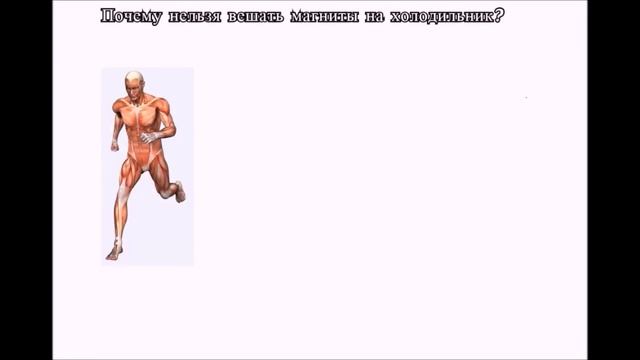Почему нельзя вешать магниты на холодильник? смотреть онлайн