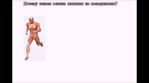 Почему нельзя вешать магниты на холодильник?