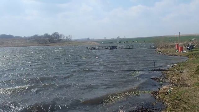 Средней силы ураган на пруду 2021_05_08 смотреть онлайн