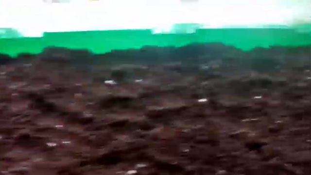 Запаздавшая посылка. Сеем астры,бархатцы,календулу,капусту мегатон. Быстро и без заморочек? смотреть онлайн