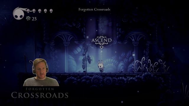 PLEO TRIES: Hollow Knight: Voidheart Edition (PS4) PART 2 смотреть онлайн