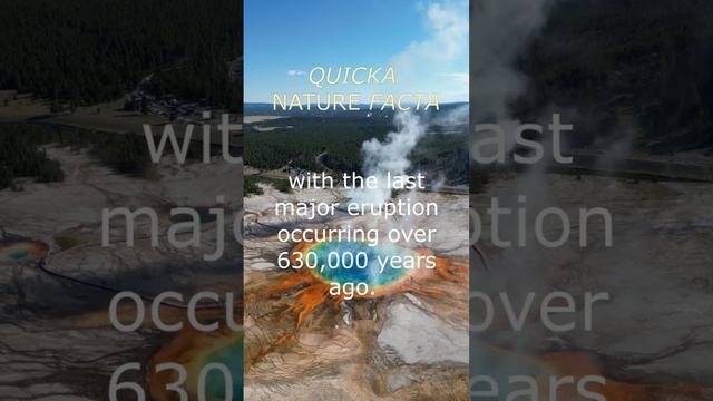 Such a beautiful park! What a magnificent piece of nature 🤩🤩🤩 #nature #yellowstone #top #facts смотреть онлайн