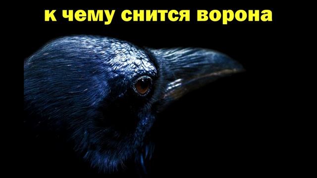 К ЧЕМУ СНИТСЯ ВОРОНА