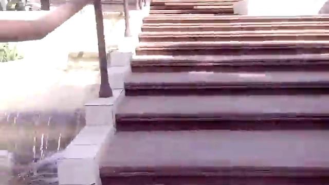 Курортный проспект & дельфинчики. смотреть онлайн